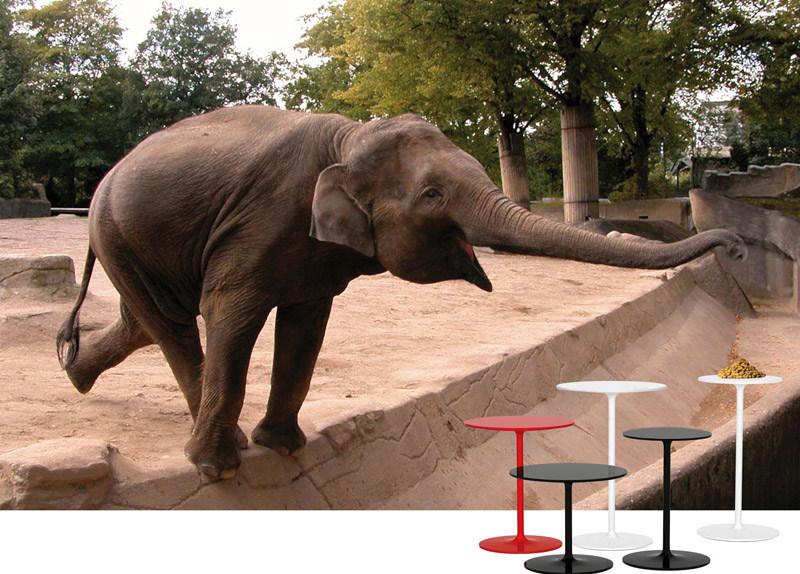 REXITE Круглый журнальный столик из технополимера sun-id-1382458 - Вид №2