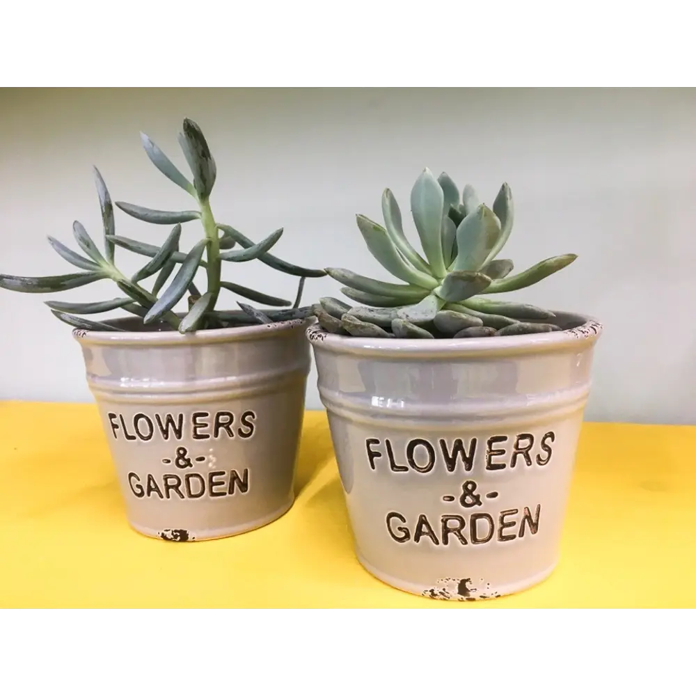 Кашпо-кактусник 8.5x8x10 см v0.4 л керамика серый GARDMAX STLM-2106539 - Вид №5