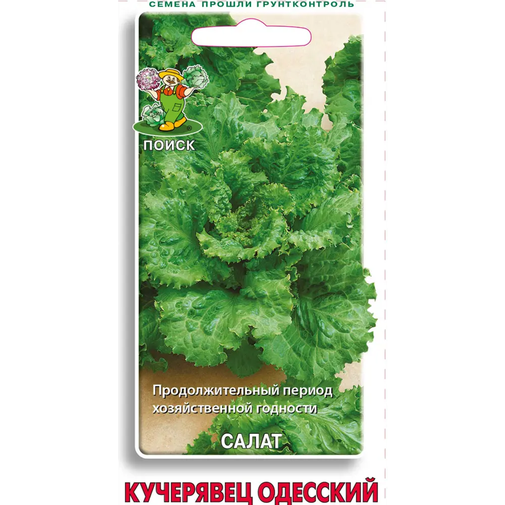 Семена Салат «Кучерявец Одесский» 83227418 STLM-2031043 ПОИСК 