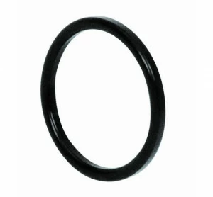 GENEBRE 2957 10 Кольцо уплотнительное для разъема DIN 11851