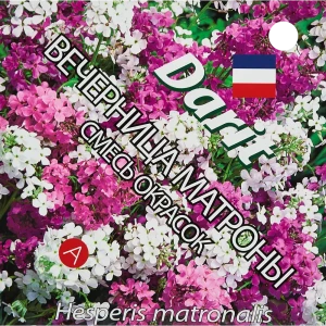 Семена цветов Дарит вечерница микс 89347589 STLM-2102092