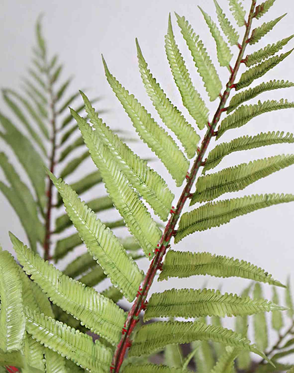 6633 883 a3 Искусственный папоротник, в горшке, 45 см, зеленый H-andreas 