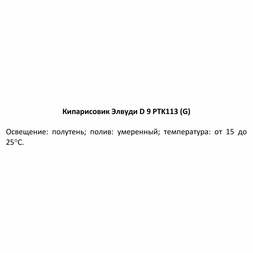 Кипарисовик Элвуди PTK113 ø9 h32-35 см 85848726 STLM-2085700 Santreyd  - Вид №3