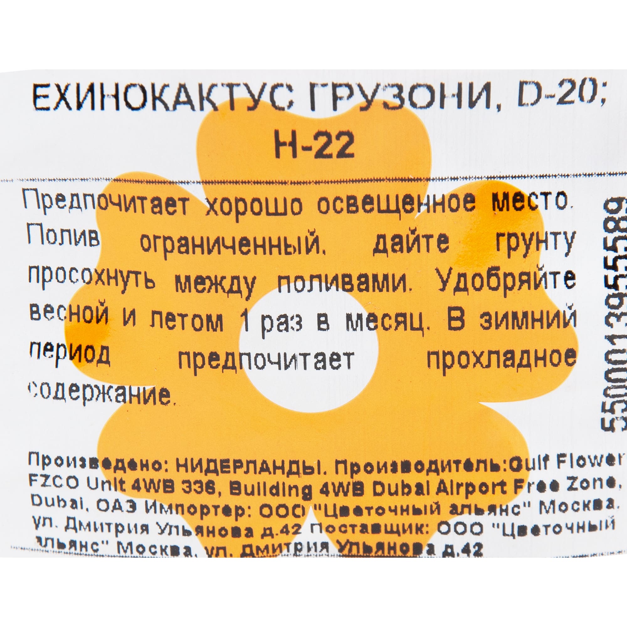 82850423 Эхинокактус Грузони 20х22 см Santreyd  - Вид №2