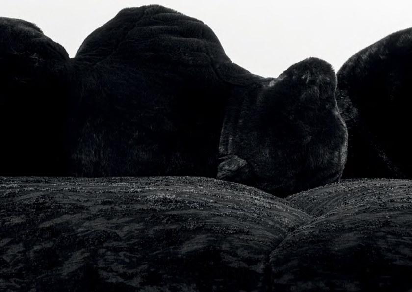 edra Диван из искусственного меха sun-id-1497277 - Вид №3