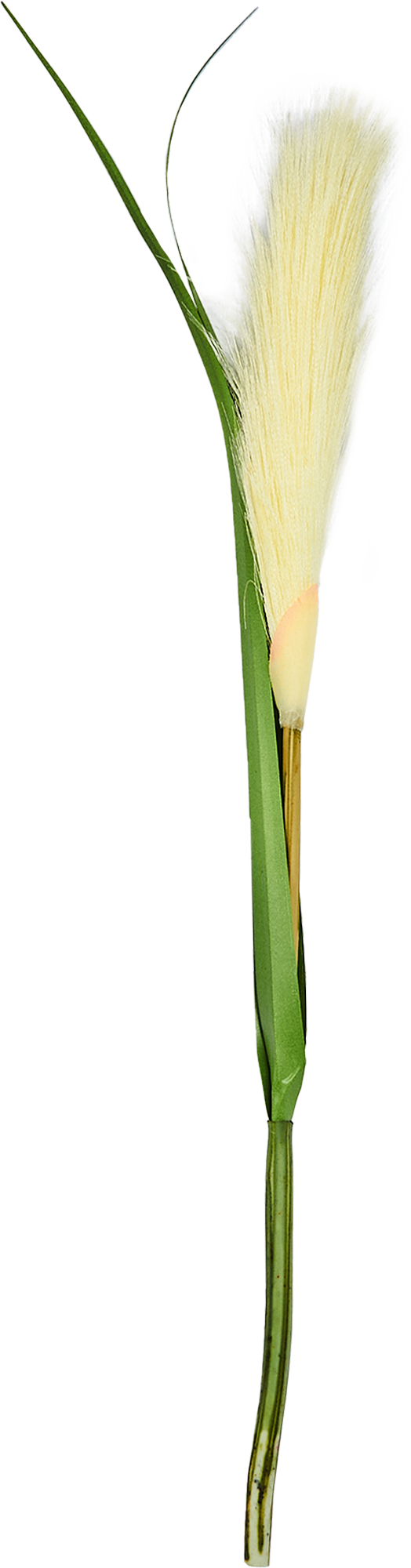 82686502 Растение искусственное Ковыль белый h53 см STLM-0034002 Santreyd 