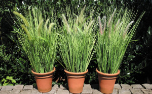 5405 788 a3 Искусственный куст из травы, горшечный, 65 см, бежево-зеленый H-andreas