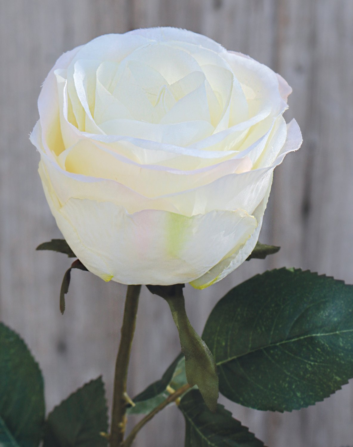 9816 778 a3 Искусственная роза, 90 см, бежево-белая H-andreas 