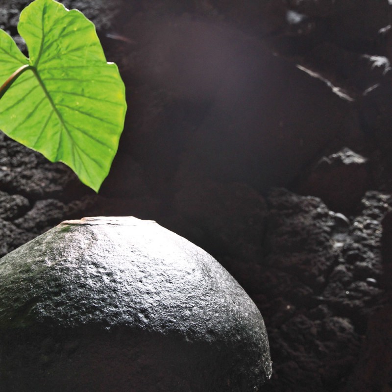 F132A/1248X120 Картина Мома Рамка 1248 Adriani e Rossi 