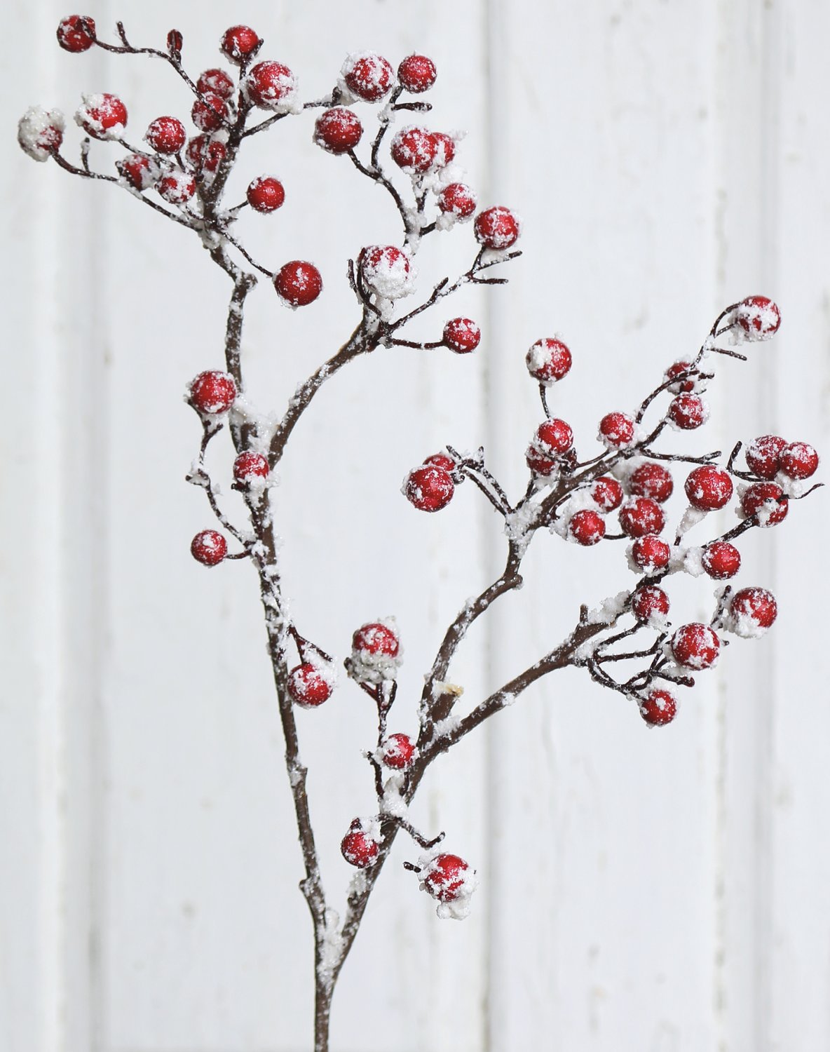 8118 419 a3 Ветка искусственной ягоды со снегом, 70 см, матовый красный H-andreas 