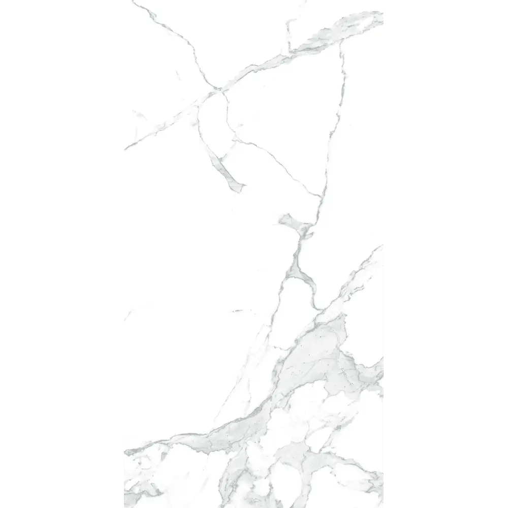 Керамогранит ARCADIA CERAMICA Paradise Statuario Carving - матовый белый 60×60 см 89396420 STLM-1359346