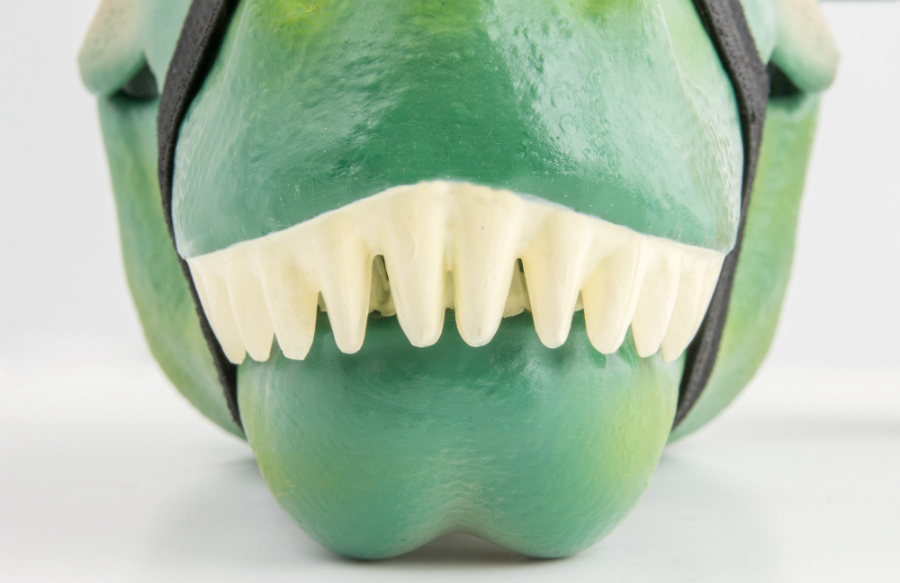 SK BOXDINO1 Бокс для хранения dinosaur Suck UK  - Вид №11