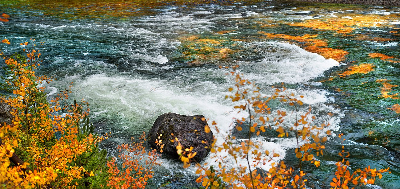 Фотокартина 60х28 см "Охра" PANKOVSKY STUDIO ПЛАСТИФИКАЦИЯ 015880 Белый;желтый;зеленый 