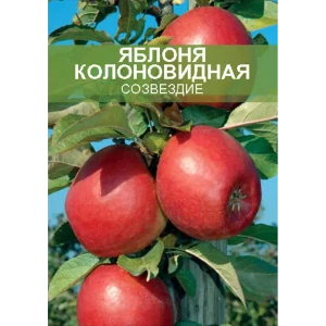 Яблоня колоновидная Созвездие ø20 h180 см 85670473 STLM-2185276