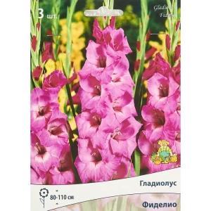 Гладиолус крупноцветковый Фиделио 3 шт. 83588517 STLM-2061859