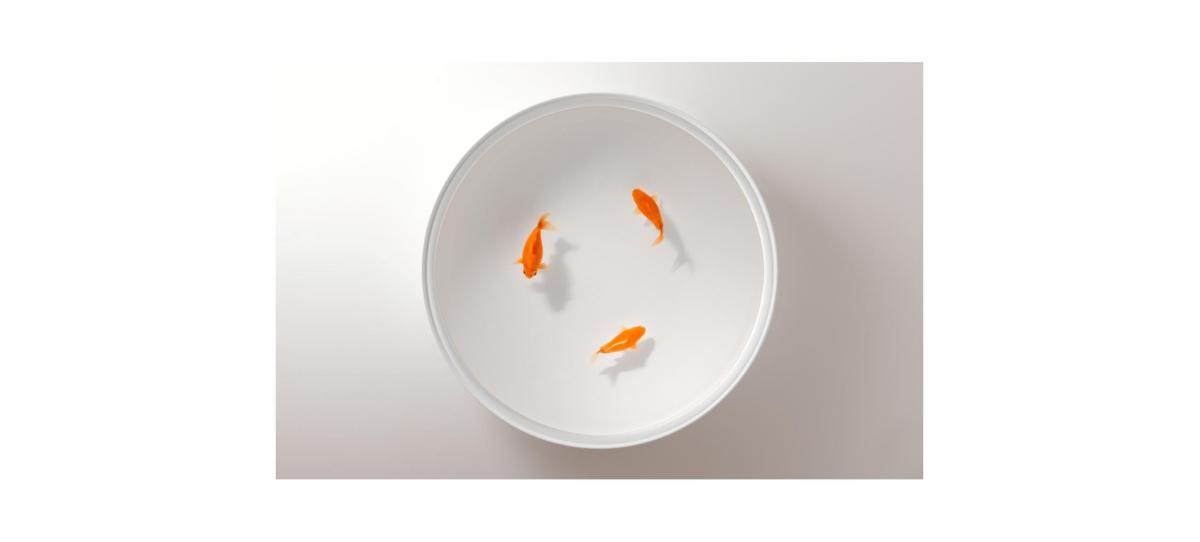 001753 Журнальный столик Up in the air Viccarbe  - Вид №6