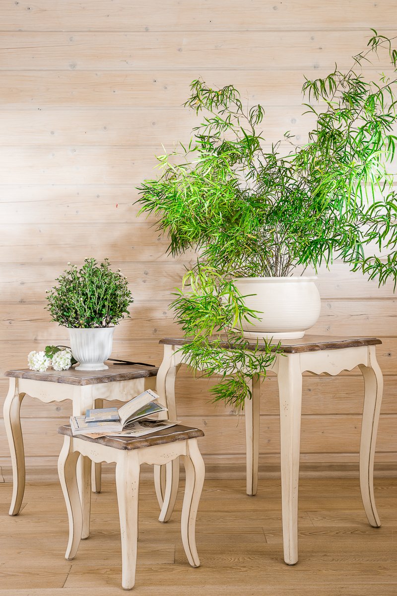 Приставной столик белый с деревянной столешницей и гнутыми ножками Mobilier de Maison, 3 штуки ДОМАШНЯЯ ОБСТАНОВКА MOBILIER DE MAISON 017185 Белый Santreyd  - Вид №1