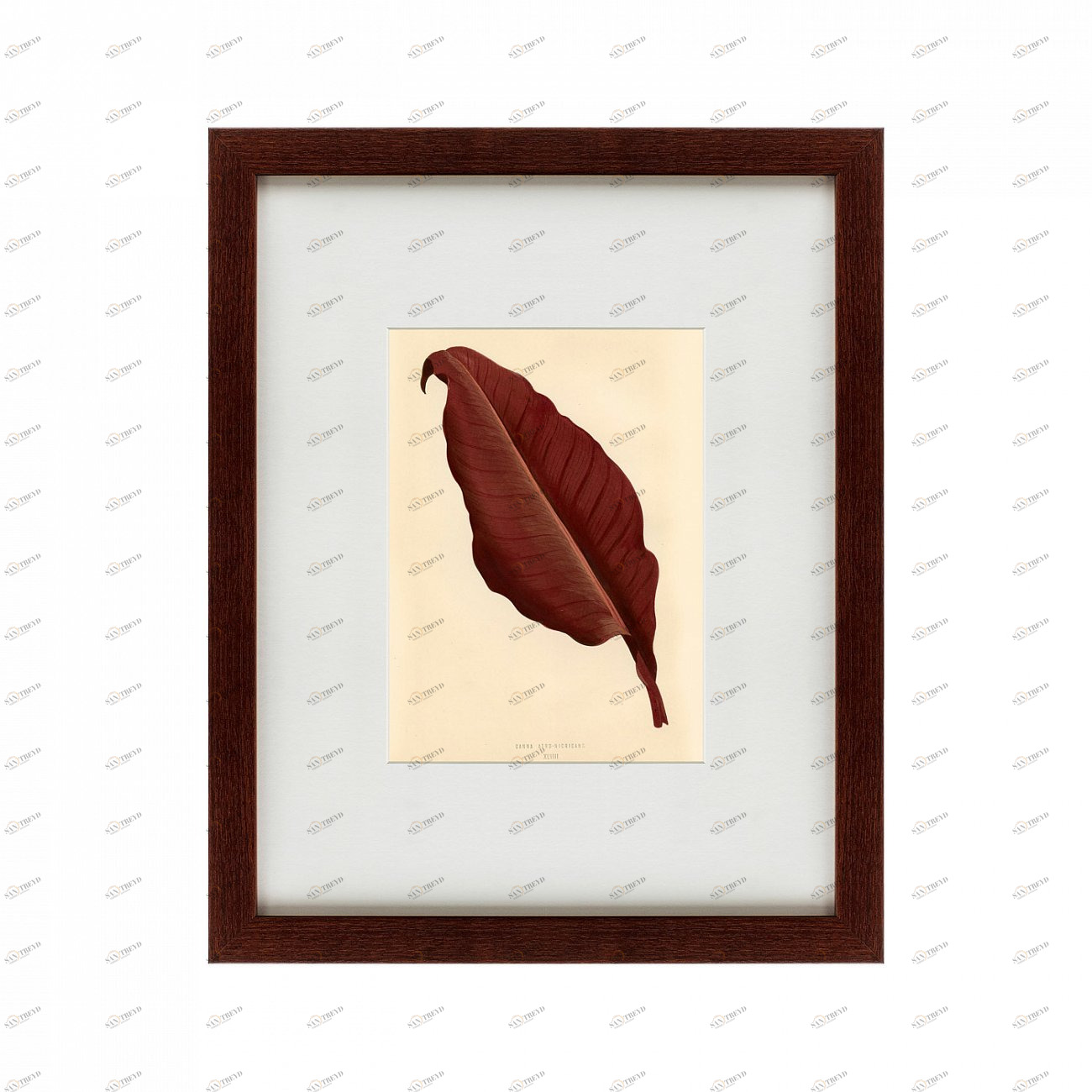 Картина в раме 52х42 см The dark red leaf, 1881 КАРТИНЫ В КВАРТИРУ  135660 Коричневый;красный 