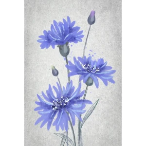Картина на холсте Васильки 40x60 см