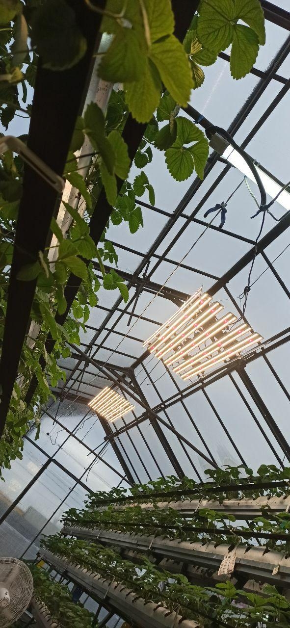 3537 Комплект Quantum line 60 см LAB.Space  - Вид №5