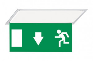 DST-261 Hydra pennant Daisalux Светильники аварийные Серебристо-Серый