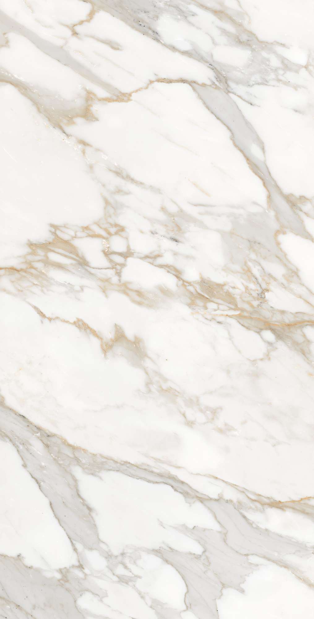 CALACATTA ORO — Элегантность мрамора в вашем интерьере FP1006-A Arcadia Ceramica - Вид №6