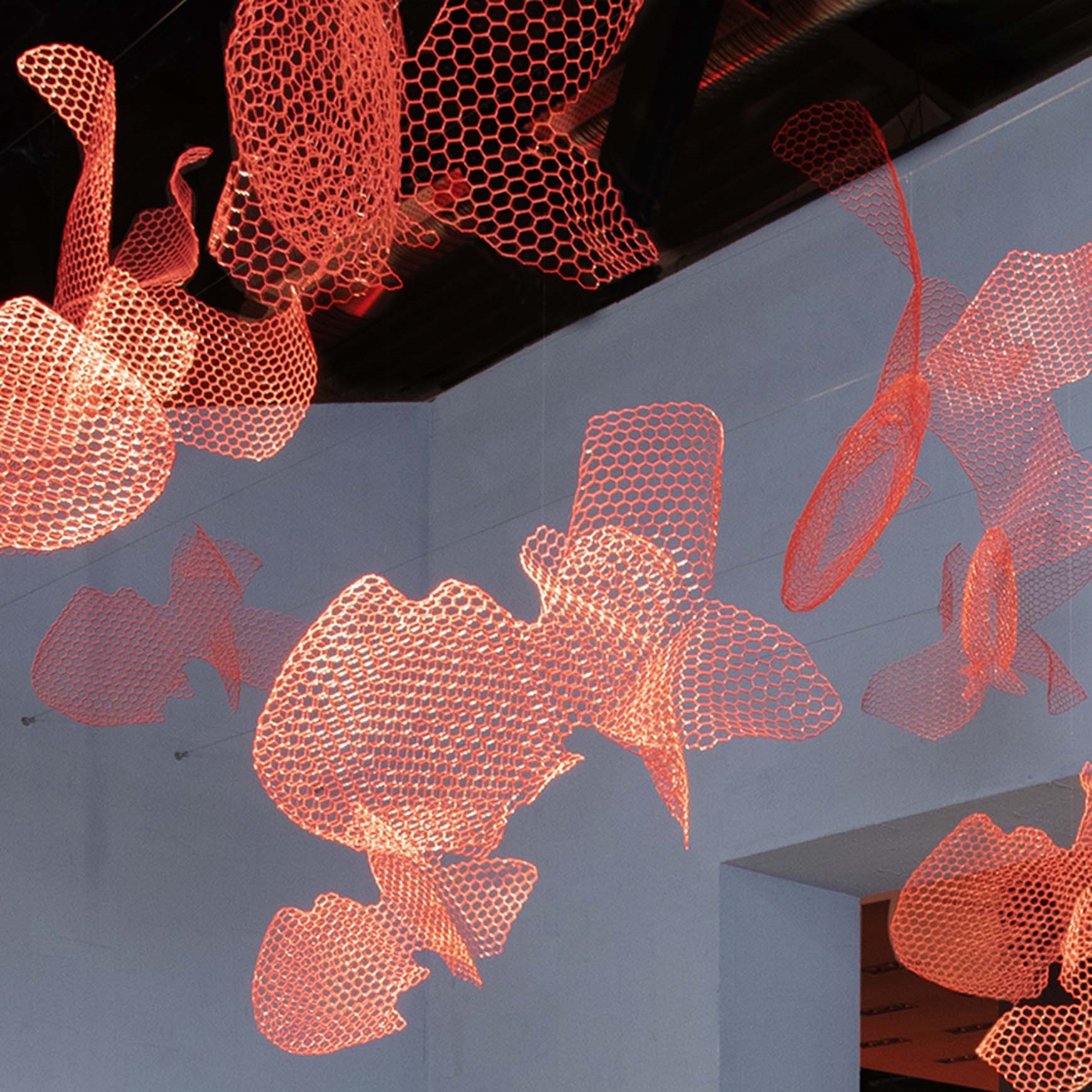 Рыба Magis sun-id-1328980 - Вид №3