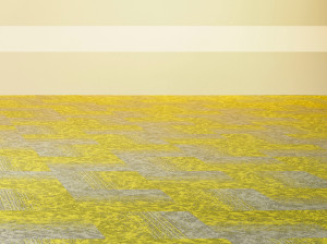 Нейлон®сплошной цвет ковер