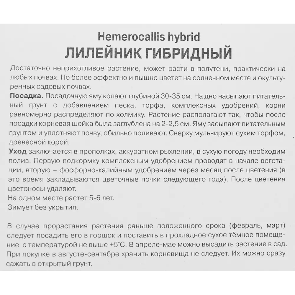 Лилейник гибридный Саммэ Вайн 86410474 STLM-2013140 ПОИСК  - Вид №2
