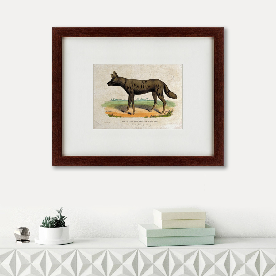 Картина: A tortoise-shell hyena, or hye, 1830 КАРТИНЫ В КВАРТИРУ  135641 Разноцветный  - Вид №1