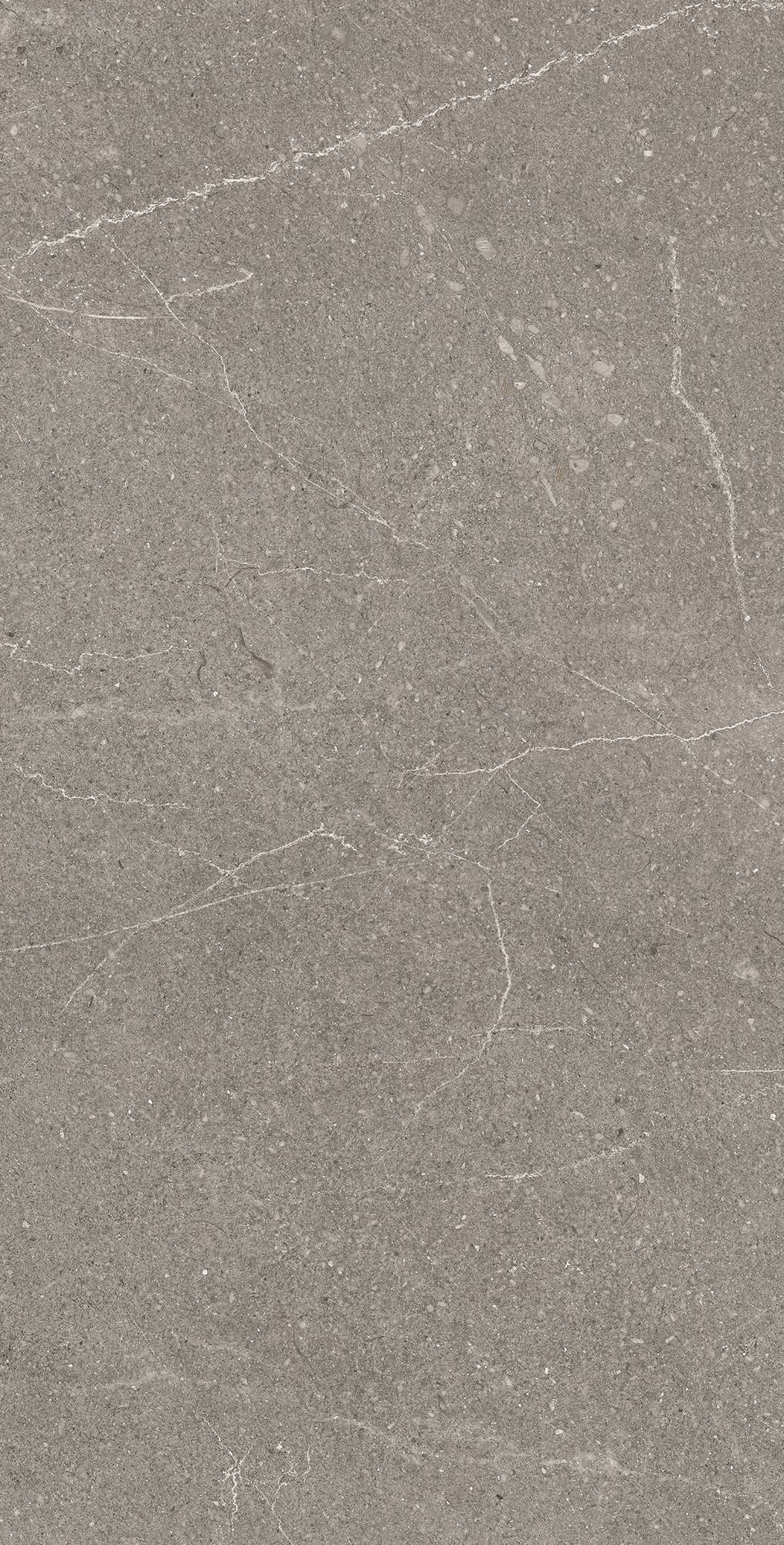 Графитовая элегантность EQUISTONE RG6002-A Arcadia Ceramica - Вид №2