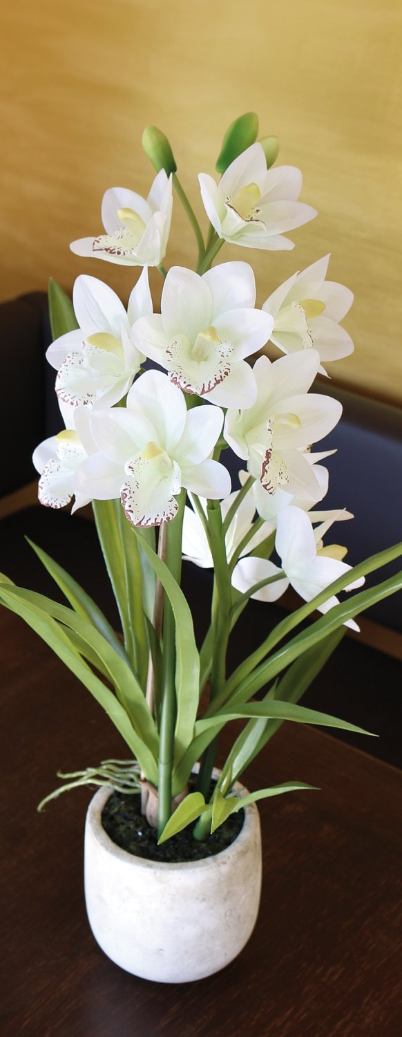 2532 778 a3 Пластиковая орхидея цимбидиум, горшок, 71 см, горшок, real touch soft, бежево-белый H-andreas  - Вид №9