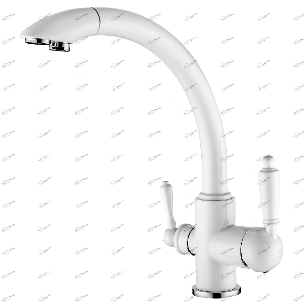GZ 16031F Смеситель для кухни с подключением к фильтру с питьевой водой Ganzer Белый Ganzer Германия 13994