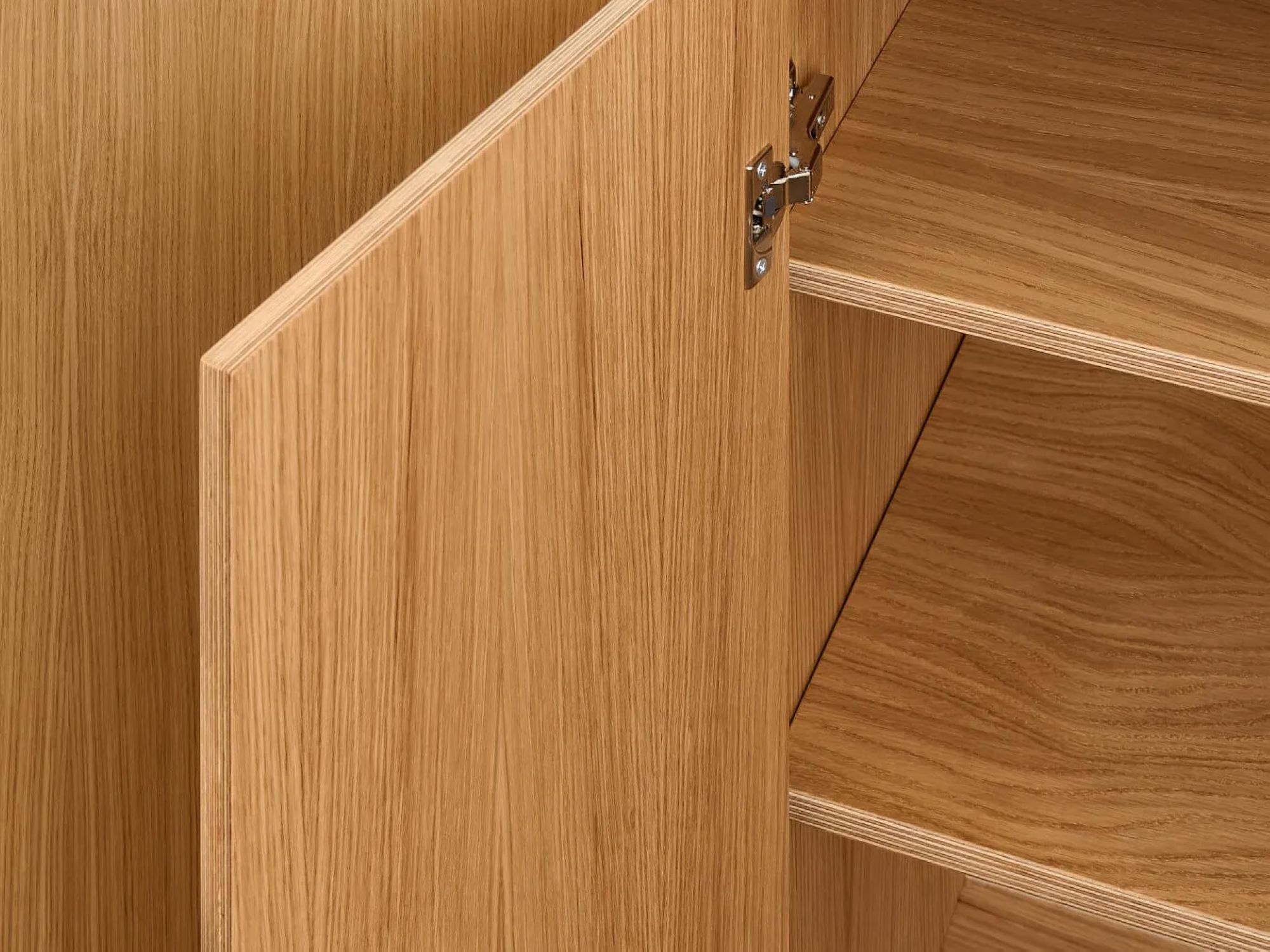 Шкаф из шпона Radis Noble ARCH-00117547 - Вид №4