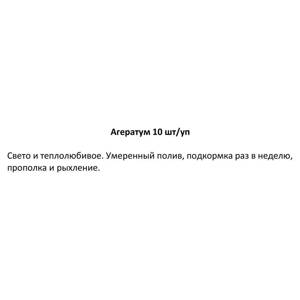 Рассада Агератум h20 см, 10 шт. 83248314 STLM-2042395 Santreyd  - Вид №4