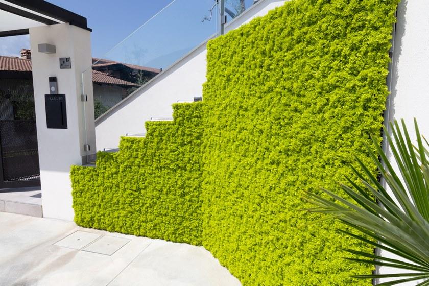 Carlo Civera лишай E искусственный E sun-id-1430707 - Вид №2