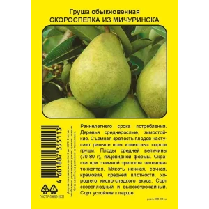 Груша Скороспелка из Мичуринска пакет h90 см 86544116 STLM-2011348