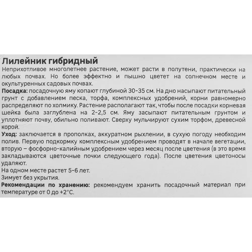 Лилейник Geolia гибридный Хелло Скриме 86408712 STLM-2194222  - Вид №3