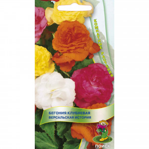 82984193 Семена Бегония клубневая «Версальская история»