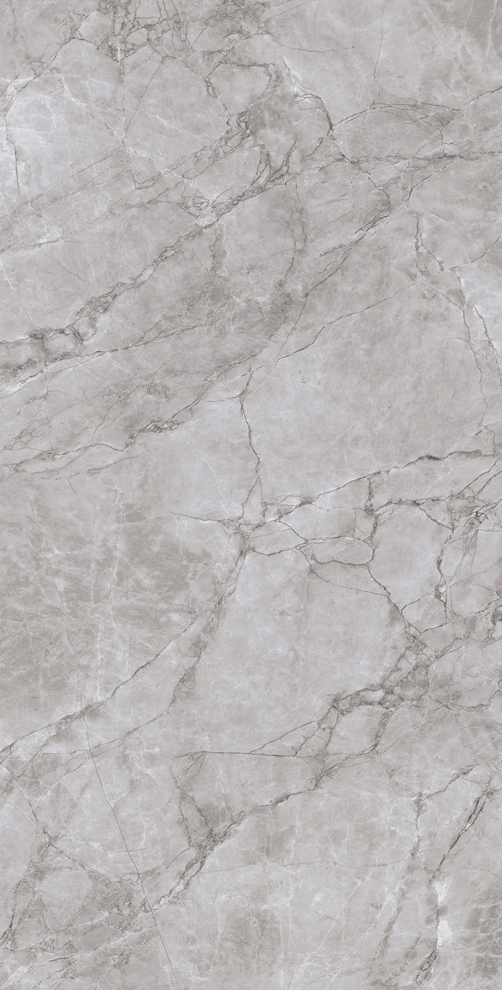 ARCTIC GREY ARCADIA CERAMICA CR4012-A - Вид №4