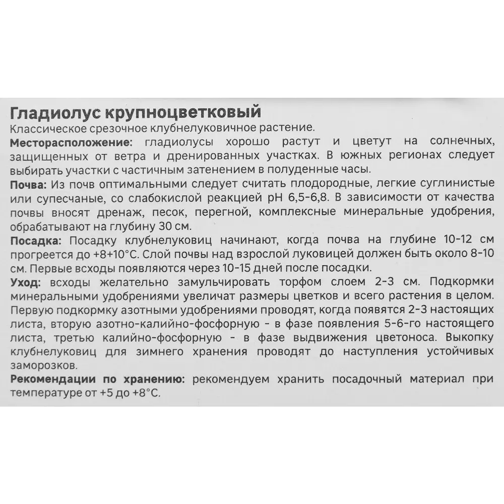 Гладиолус крупноцветковый Жирона Geolia 3 шт 86408547 STLM-2199249  - Вид №2
