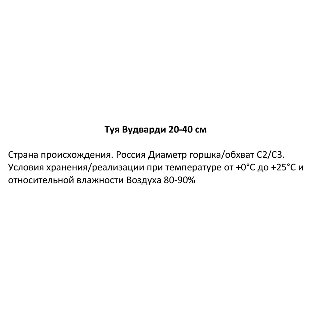 Туя Вудварди h30-40 см 85320107 STLM-2081179 Santreyd  - Вид №2