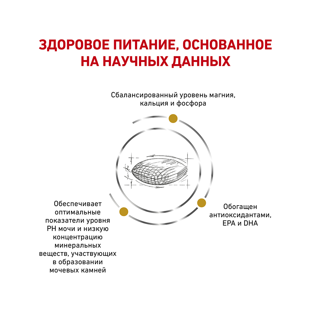 Т0023216 Корм для собак Vet Diet Urinary S/O LP18 при мочекаменной болезни сух. 2кг ROYAL CANIN  - Вид №3