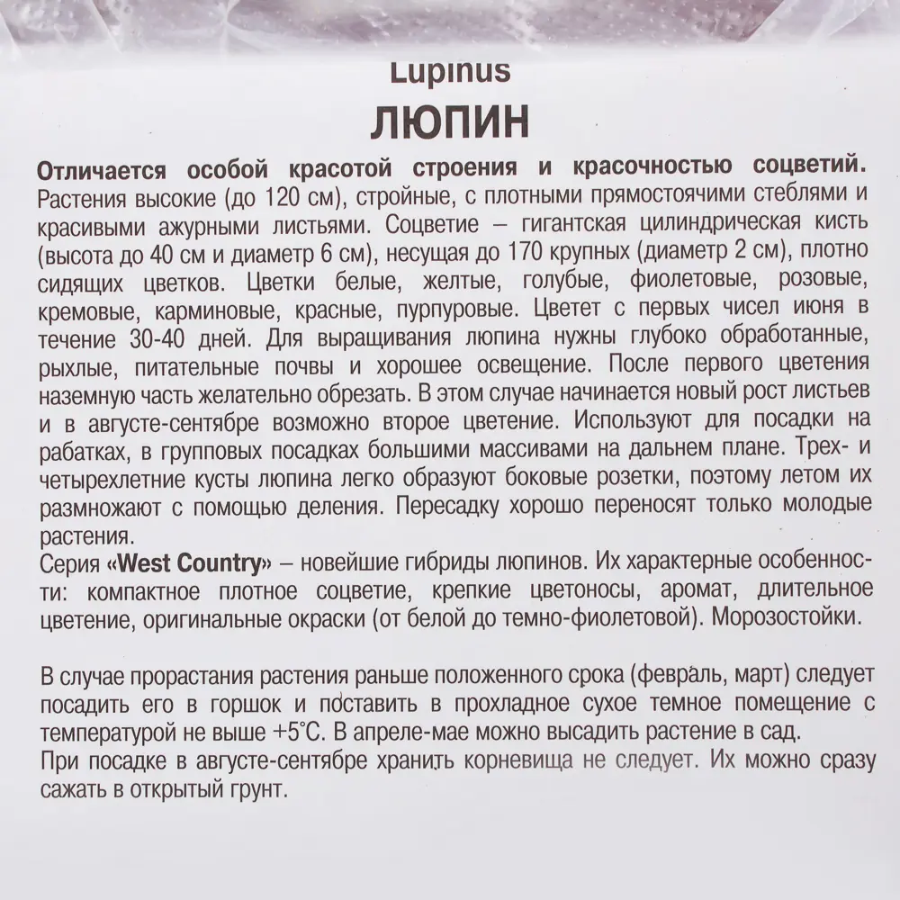 Люпин «Зе Пейджиз» многолетний 17536012 STLM-2011831 Santreyd  - Вид №2