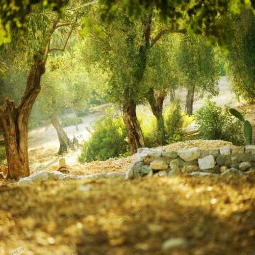 WP02396 Фотообои Verol Фотообои decoline 1х1 м