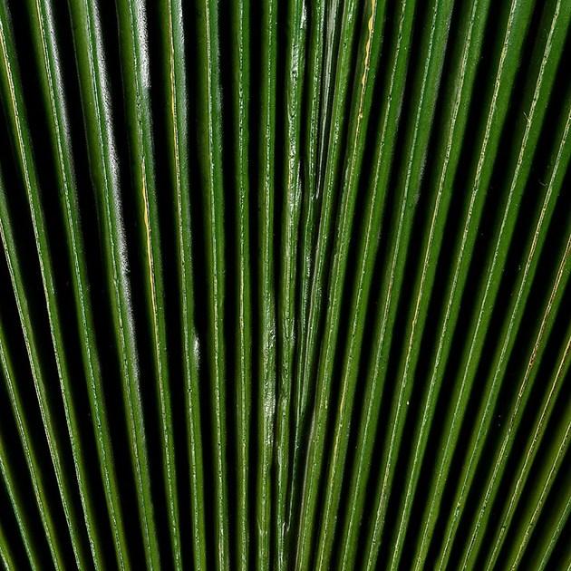 VGnewtrend Искусственное растение  1040744.60  - Вид №1