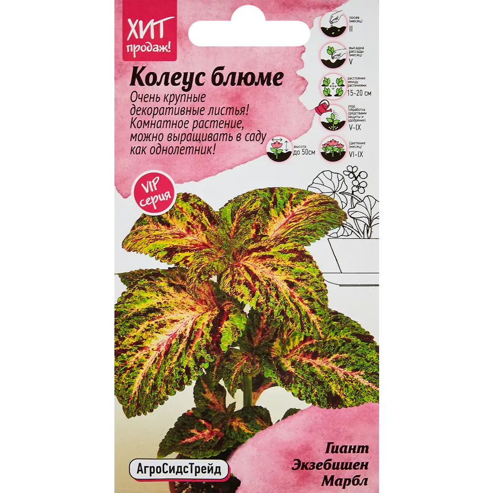 Семена цветов Агросидстрейд колеус Блюме Гиант Экзеб Марбл STLM-2185966