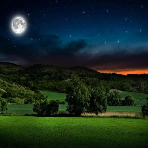 WP00531 Фотообои Verol Фотообои decoline 1х1 м