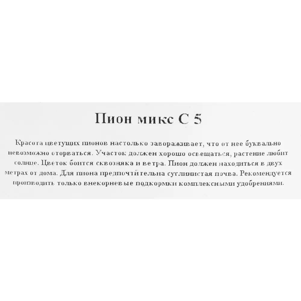 Пион микс С5 82560425 STLM-2183998 Santreyd  - Вид №2