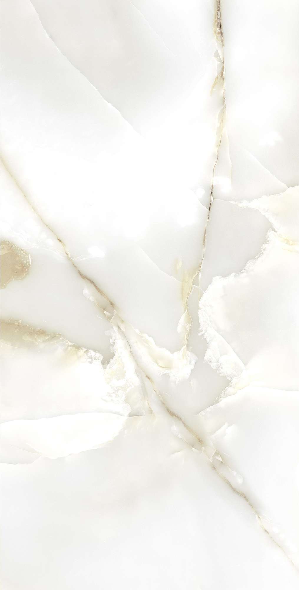 Ониксовый Шёпот: Керамогранит для Вдохновения FP1003-A Arcadia Ceramica PRIMO - Вид №6